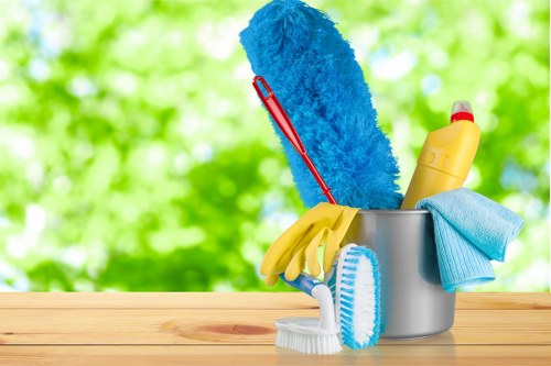 Local one-off cleaning service for homes in Bromley