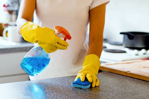Treating a pet stain and lingering smell on a Bromley household rug