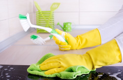 What is included in a Bromley oven cleaning appointment