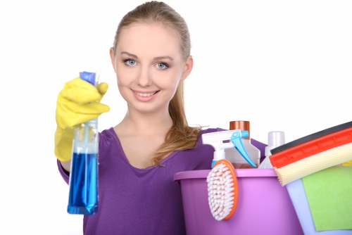 Local carpet cleaning equipment used for pet stain odour removal in Bromley